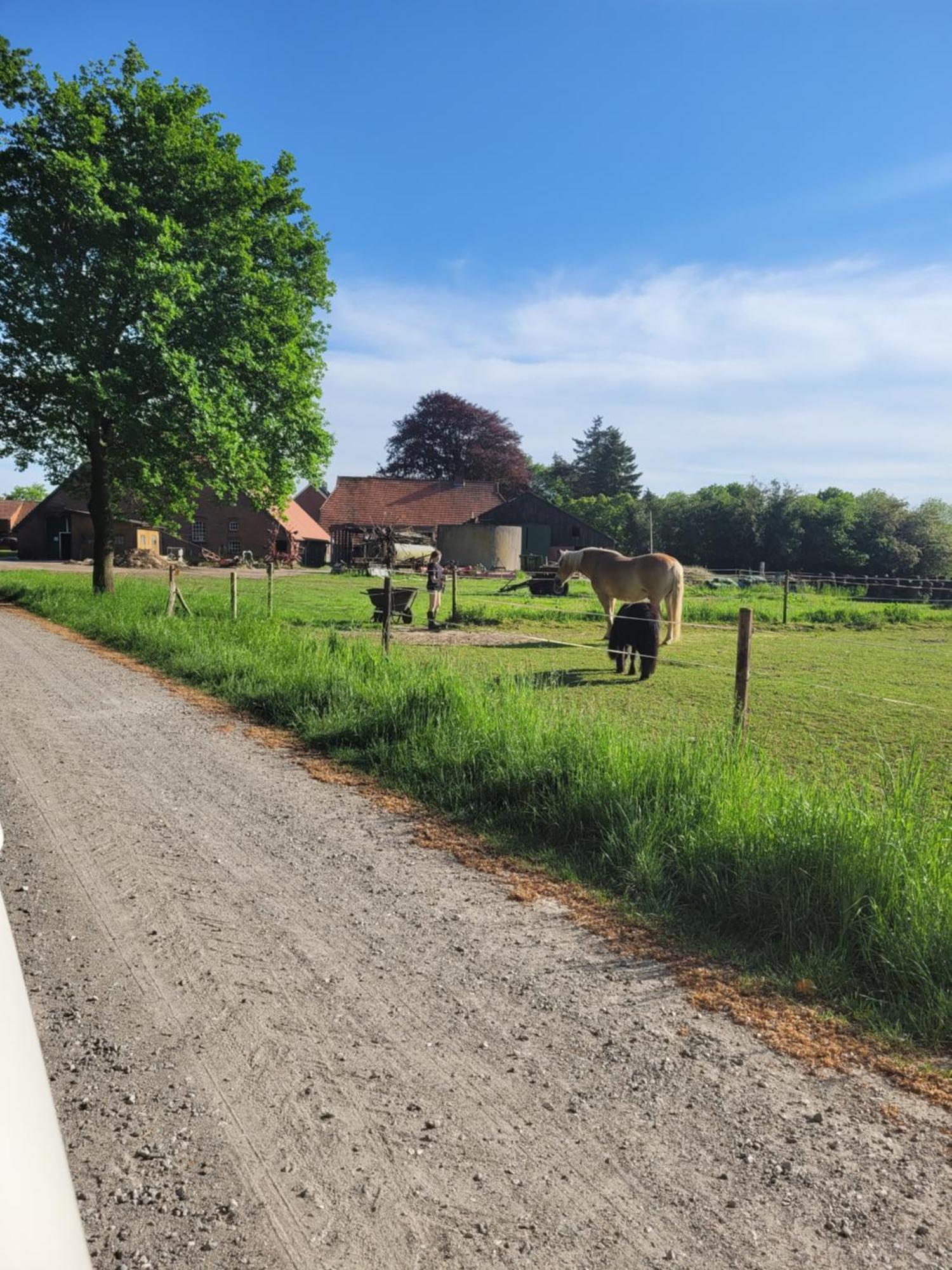 Reiterhof Jaegersburg Ferienwohnung 瓦雷尔 外观 照片